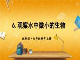 教科版小学六年级科学上册《一 微小世界 第6课 观察水中微小得生物》课堂教学课件PPT公开课