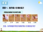 教科版小学六年级科学上册《一 微小世界 第6课 观察水中微小得生物》课堂教学课件PPT公开课