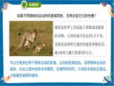 【核心素养】1.6《比较相同时间内运动的快慢》课件+教案（教科版科学三下）
