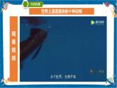 【核心素养】1.6《比较相同时间内运动的快慢》课件+教案（教科版科学三下）