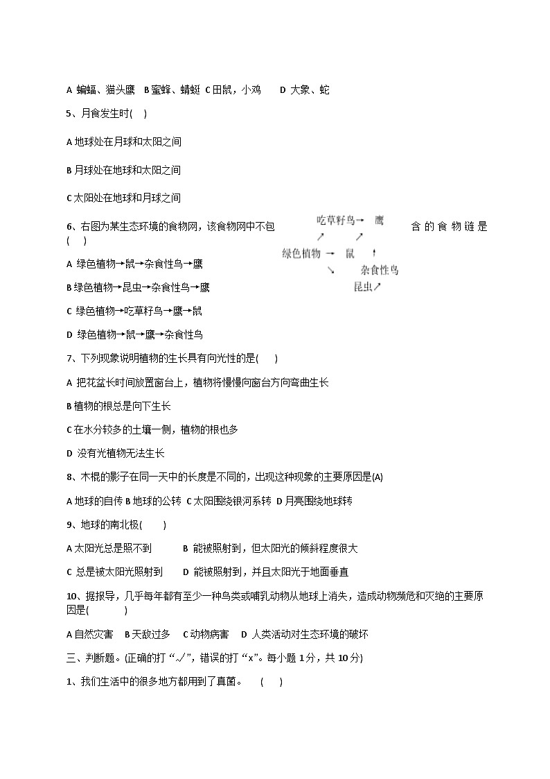 期末测试卷（试题） 六年级上册科学教科版第2页