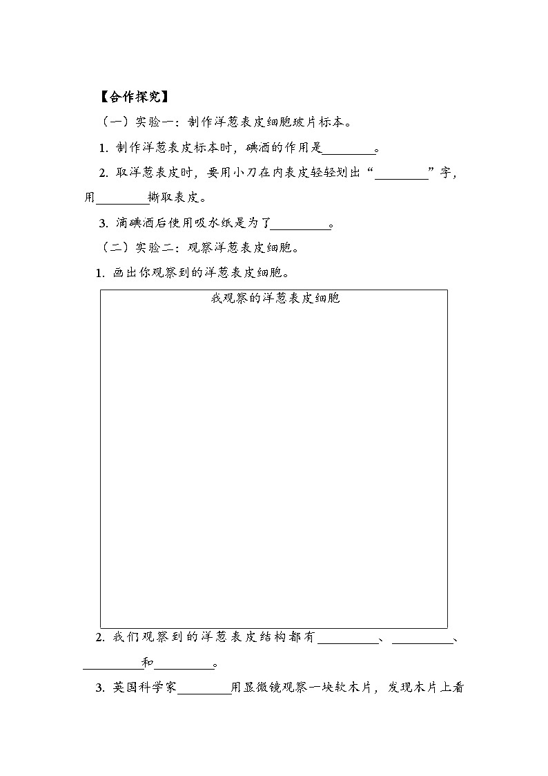 六年级上册科学6.1.4 观察洋葱表皮细胞 学案第2页
