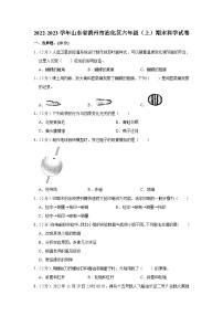 山东省滨州市沾化区2022-2023学年六年级上学期期末科学试卷