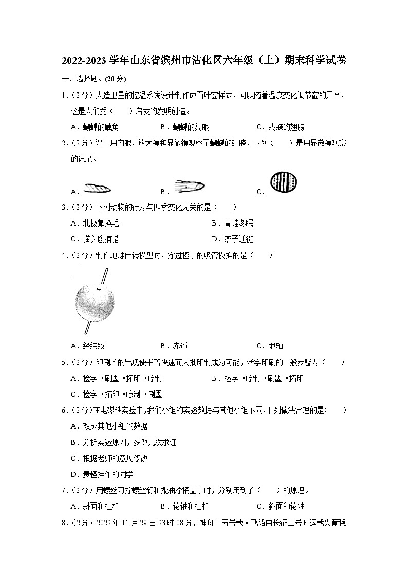 山东省滨州市沾化区2022-2023学年六年级上学期期末科学试卷01