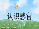 新蘇教版科學(xué)一年級上冊4認(rèn)識(shí)感官課件B