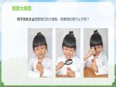 新苏教版科学一年级上册6借助工具观察课件A