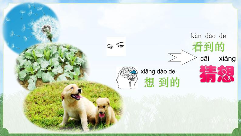 苏教版科学一年级上册7做个小侦探PPT课件B07