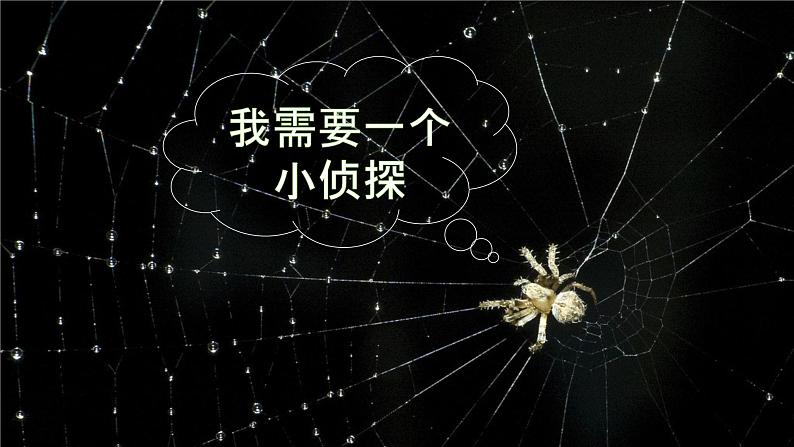 苏教版科学一年级上册7做个小侦探PPT课件C第7页