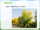 苏教版科学一年级上册9树叶变黄了PPT课件B