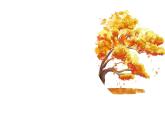 2.3《肥沃的土壤》课件+素材 苏版三年级科学上册（送教案）