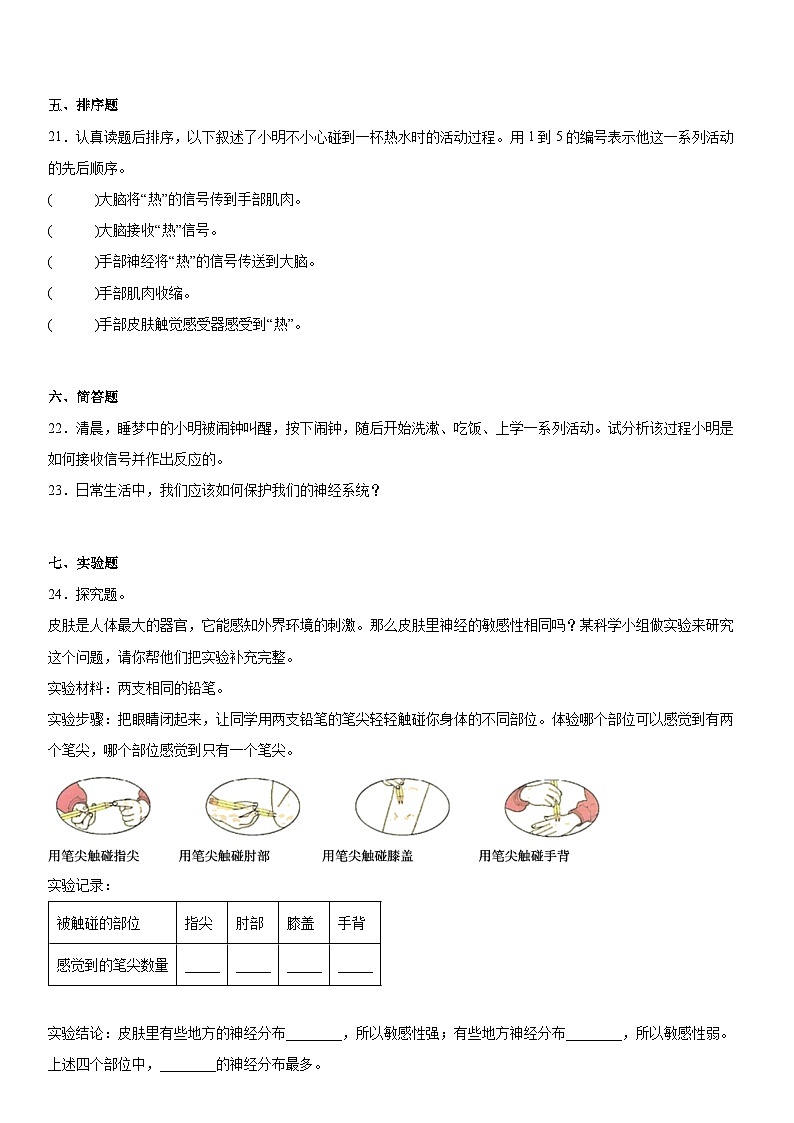 4.5身体的“联络员”（同步练习）五年级上册科学教科版03