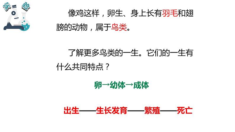 教科版小学科学三年级下册课件05