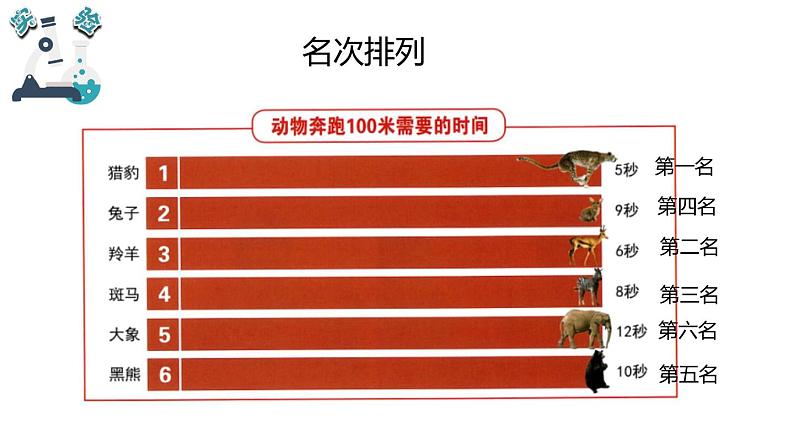 教科版小学科学三年级下册课件04