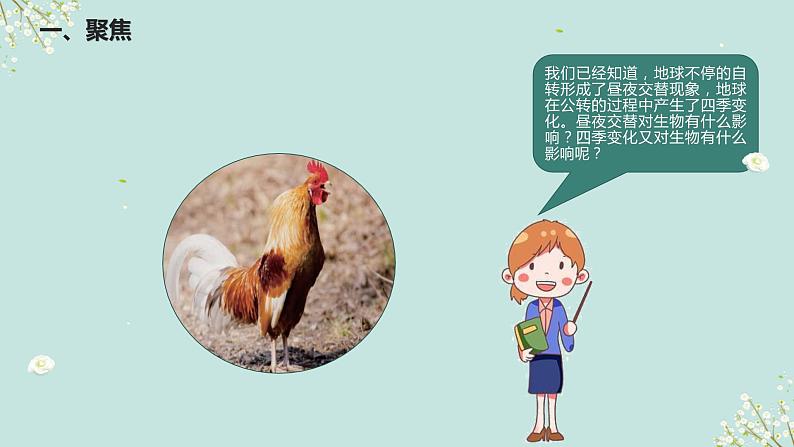 六年级2.7《昼夜和四季变化对生物的影响》课件+教学设计+素材02