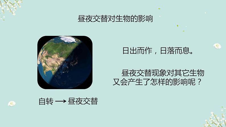 六年级2.7《昼夜和四季变化对生物的影响》课件+教学设计+素材04