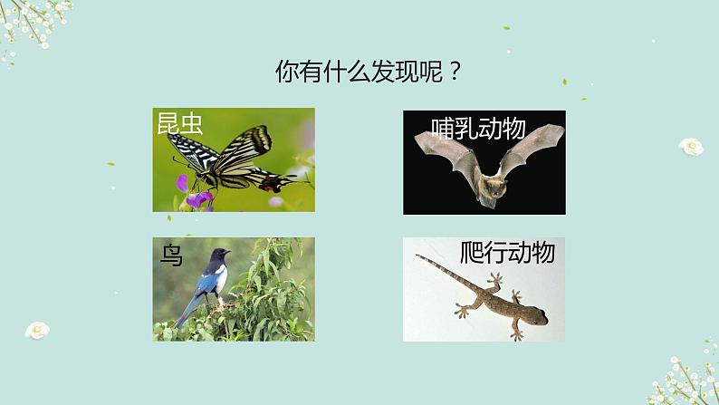 六年级2.7《昼夜和四季变化对生物的影响》课件+教学设计+素材05