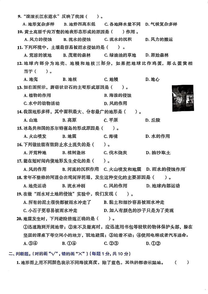 浙江省湖州市长兴县实验小学科学两校10月考试2023-2024学年五年级上学期11月月考科学试题02