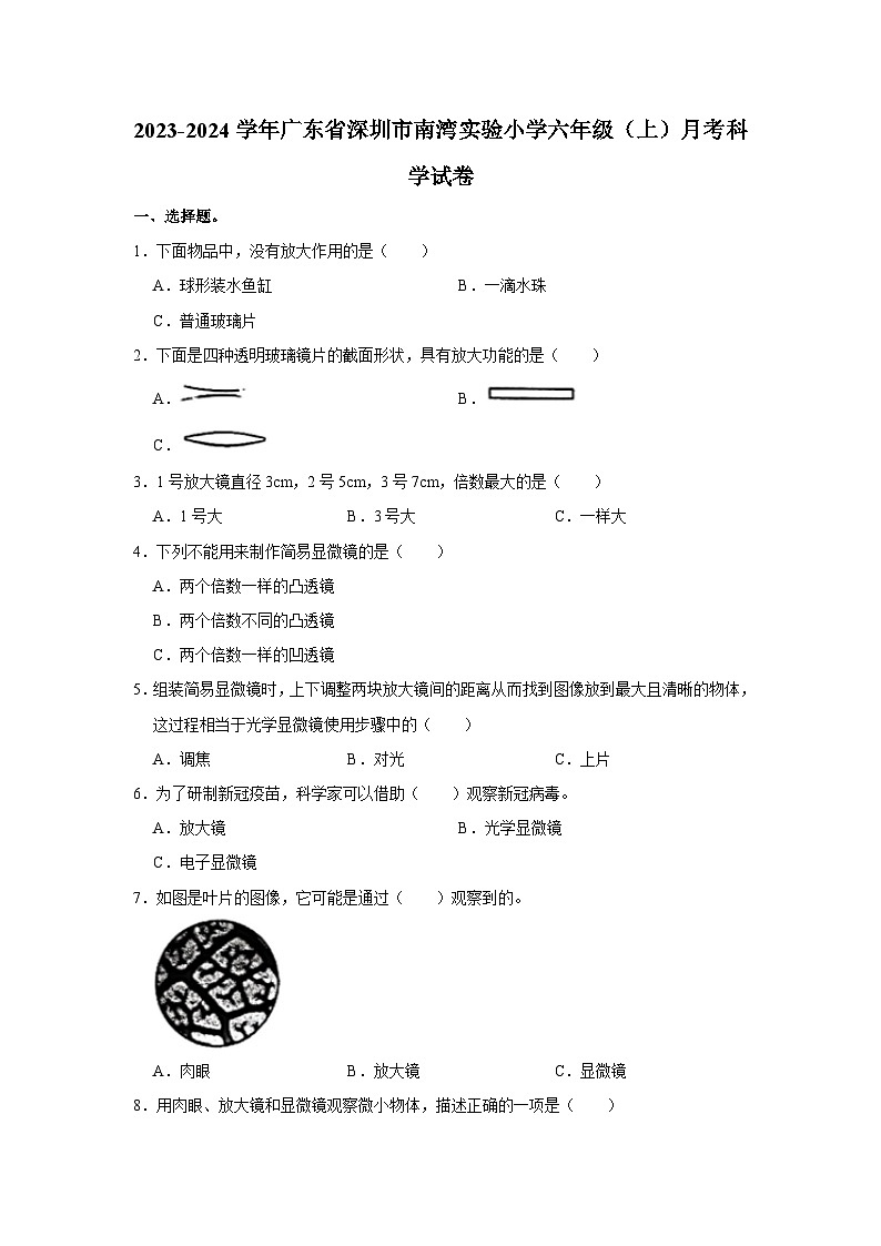 2023-2024学年广东省深圳市南湾实验小学六年级（上）月考科学试卷第1页