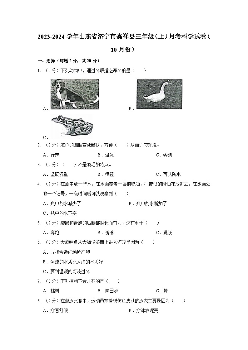 2023-2024学年山东省济宁市嘉祥县三年级上学期月考科学试卷（10月份）（含答案解析）第1页