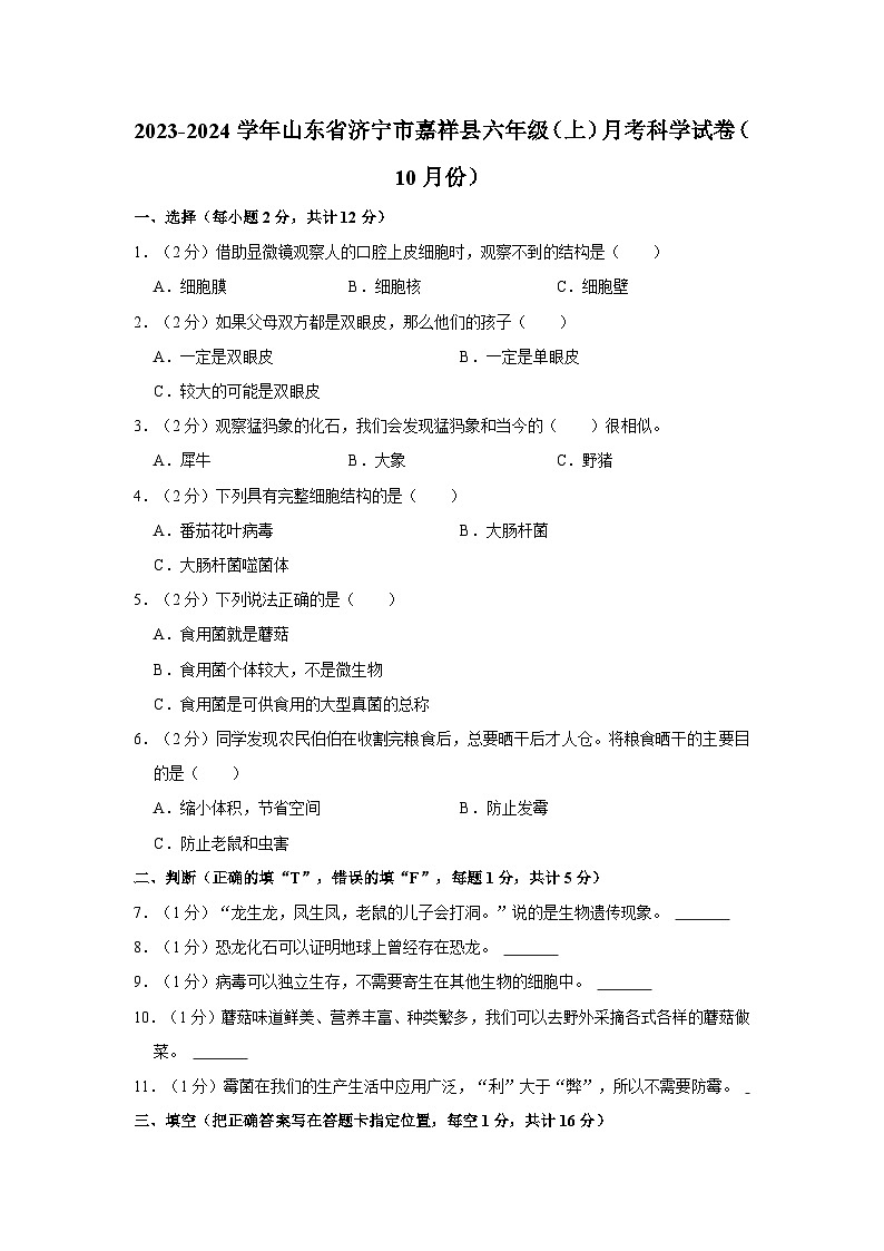 2023-2024学年山东省济宁市嘉祥县六年级上学期月考科学试卷（10月份）（含答案解析）第1页