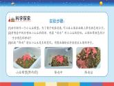 教科版五年级科学上册 2.6《水的作用》教学PPT
