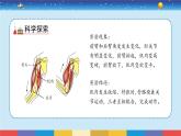 教科版五年级科学上册 4.2《身体的运动》教学PPT