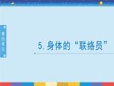 教科版五年级科学上册 4.5《身体的“联络员”》教学PPT