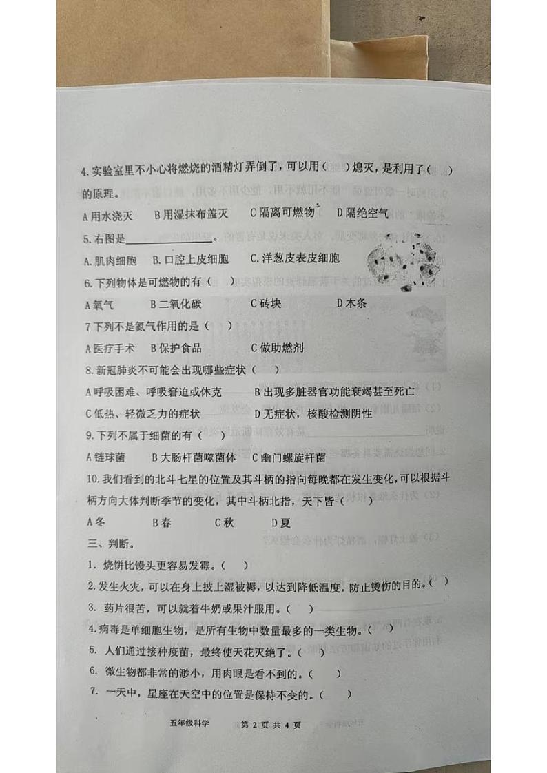 山东省烟台海阳市2023-2024学年五年级上学期期中考试科学试题第2页