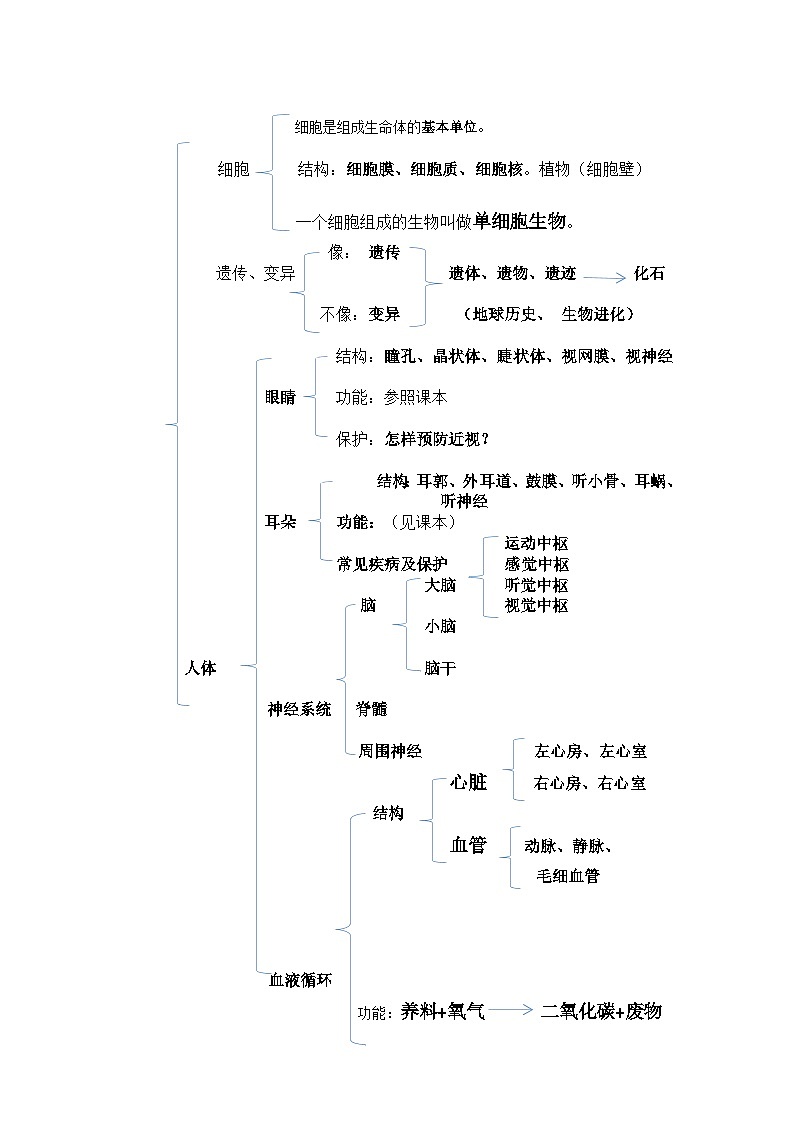生命科学复习提纲第1页