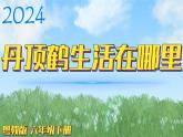 （2024）粵教版科學(xué)六年級(jí)下冊(cè)-13《丹頂鶴生活在哪里》PPT課件