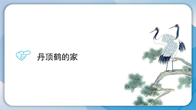 （2024）粤教版科学六年级下册-13《丹顶鹤生活在哪里》PPT课件第5页