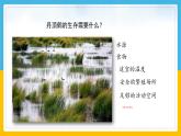 （2024）粤教版科学六年级下册-14《生物生存的环境》PPT课件