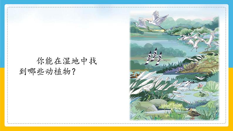 （2024）粤教版科学六年级下册-14《生物生存的环境》PPT课件第8页