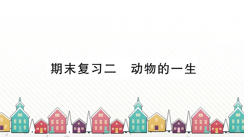 教科版(2017秋)科学三年级下册 期末复习二 动物的一生习题课件01