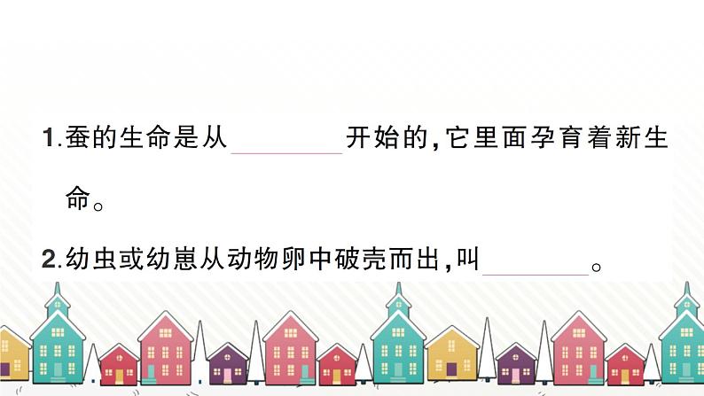 教科版(2017秋)科学三年级下册 期末复习二 动物的一生习题课件02