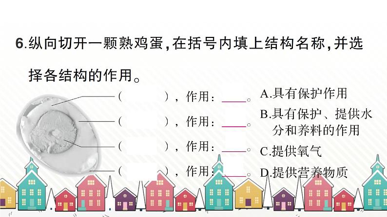 教科版(2017秋)科学三年级下册 期末复习二 动物的一生习题课件05