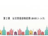 教科版(2017秋)科学三年级下册 第二单元 第二课 认识其他动物的卵习题课件