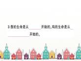 教科版(2017秋)科学三年级下册 第二单元 第二课 认识其他动物的卵习题课件
