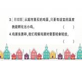 教科版(2017秋)科学三年级下册 第二单元 第二课 认识其他动物的卵习题课件