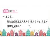 教科版(2017秋)科学三年级下册 第二单元 第三课 蚕长大了习题课件
