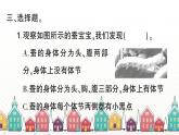 教科版(2017秋)科学三年级下册 第二单元 第三课 蚕长大了习题课件