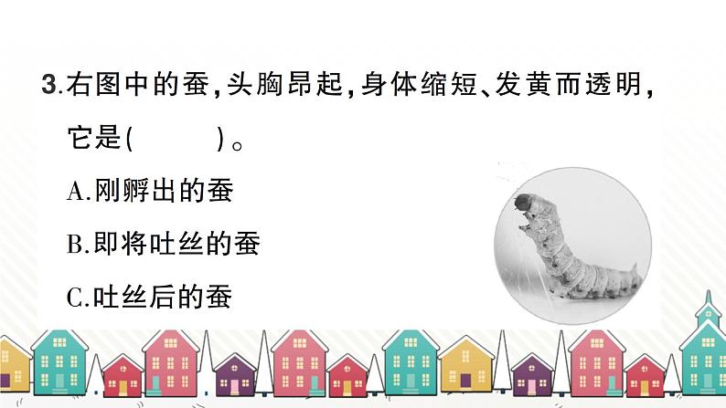教科版(2017秋)科学三年级下册 第二单元 第四课 蚕变了新模样习题课件第7页