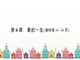 教科版(2017秋)科学三年级下册 第二单元 第六课 蚕的一生习题课件