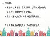教科版(2017秋)科学三年级下册 第二单元 第六课 蚕的一生习题课件