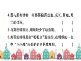 教科版(2017秋)科学三年级下册 第二单元 第六课 蚕的一生习题课件