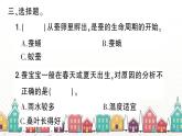 教科版(2017秋)科学三年级下册 第二单元 第六课 蚕的一生习题课件