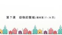 小学科学教科版 (2017)三年级下册7.动物的繁殖习题课件ppt