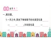 教科版(2017秋)科学三年级下册 第三单元 第二课 阳光下物体的影子习题课件