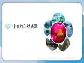 （2024）粵教版科學(xué)六年級(jí)下冊(cè)-19《地球上的自然資源》PPT課件