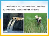 （2024）粤教版科学六年级下册-20《保护水资源》PPT课件